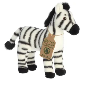 10" Zebra