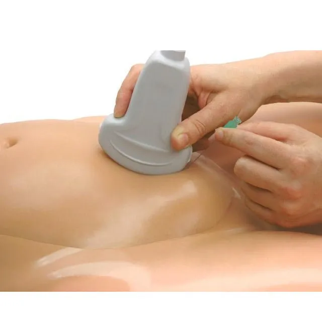 Amniocentesis Ultrasound Training Model