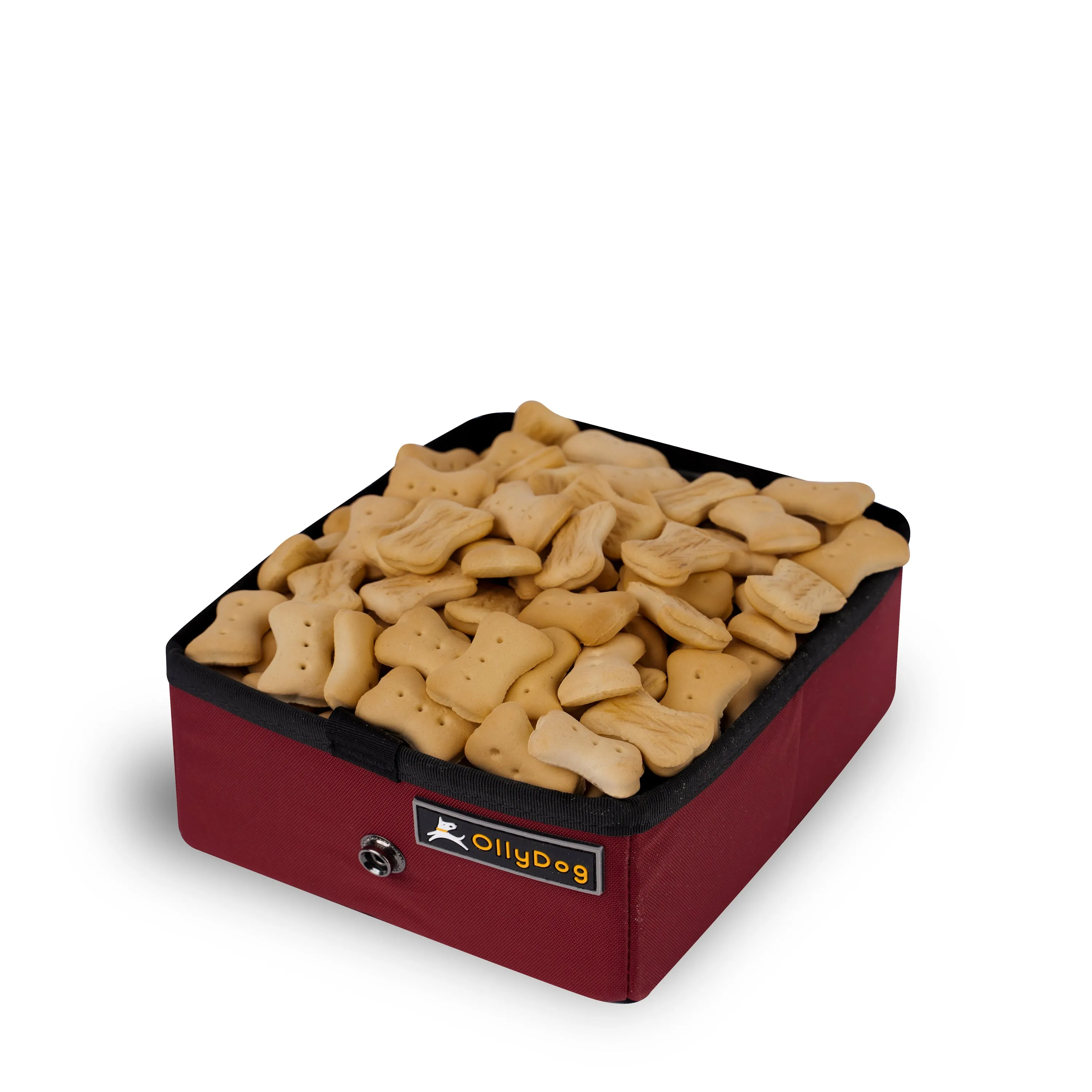 Crumple Travel Bowl | Collapsable Dog Bowl