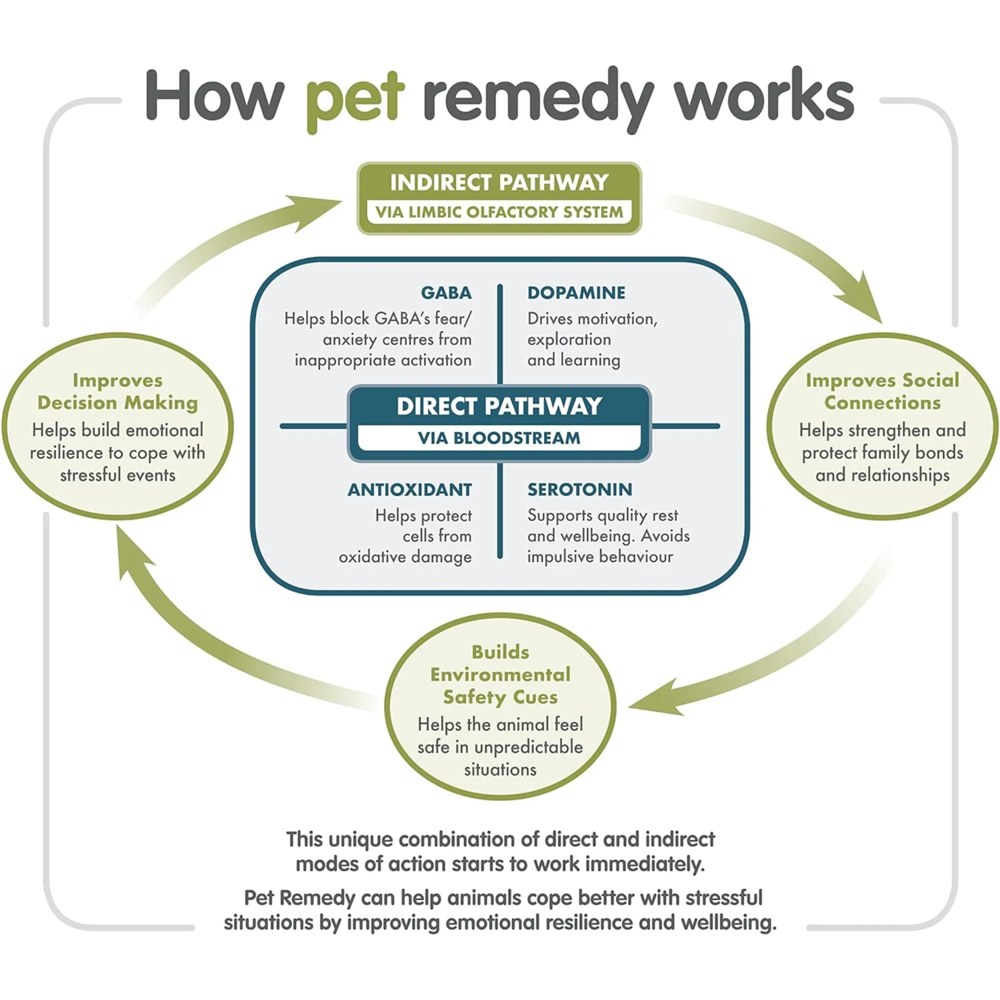 Pet Remedy Diffuser Refill - 40ml x 6