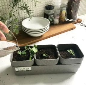 Sustainable Eco Planter